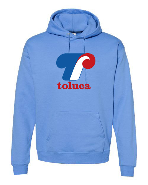 TOLUCA EXPOS
