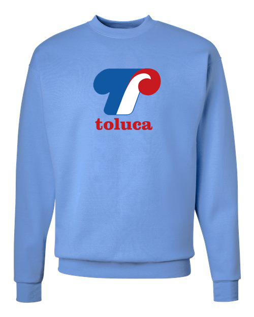 TOLUCA EXPOS
