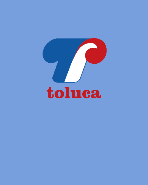 TOLUCA EXPOS