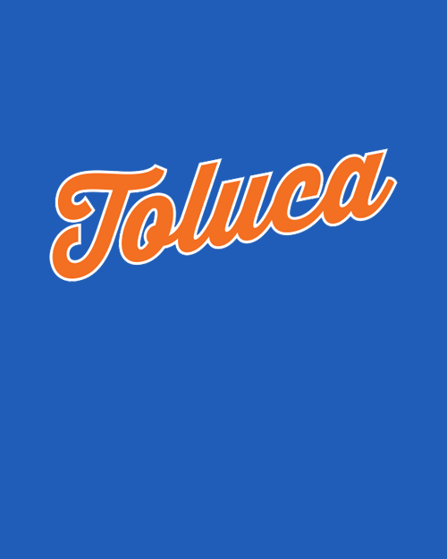 TOLUCA METS