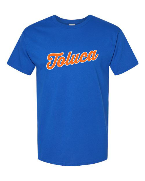 TOLUCA METS